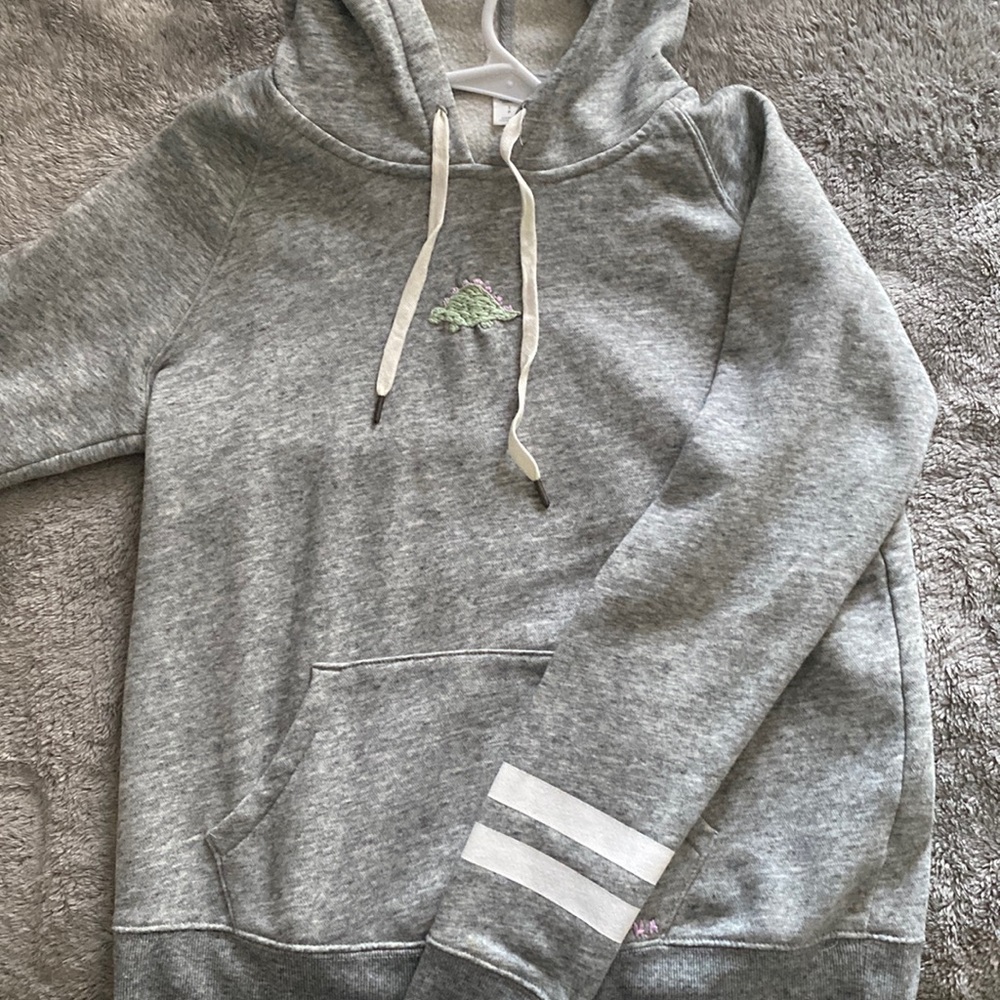 Dinosaur Embroidered Grey Hoodie